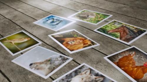 Falling Photos Template 2 - Blender 2.8