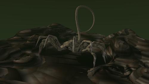 Alien Facehugger
