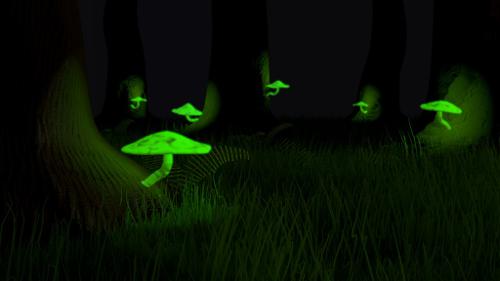 Bioluminescent Mushrooms