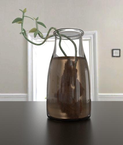 Succulent plant in jar of water
