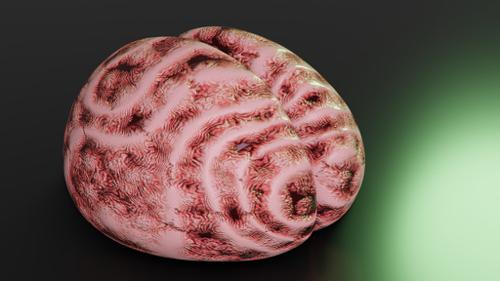 Procedural Brain shader Nodes
