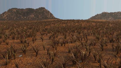 Realistic Desert Scene