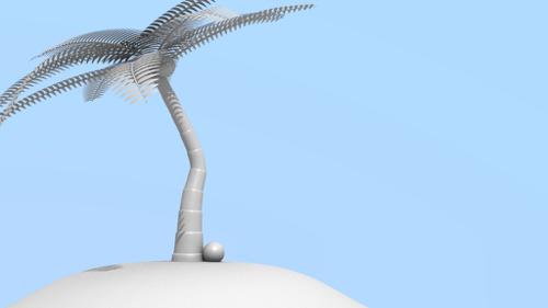 Palm Tree