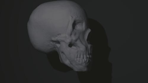 skull