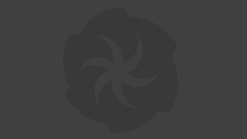 Animated iris