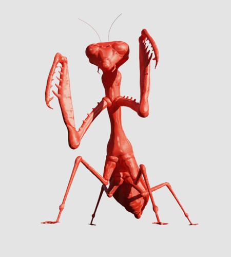 Praying Mantis