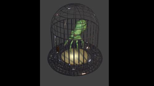 Octopus in Cage