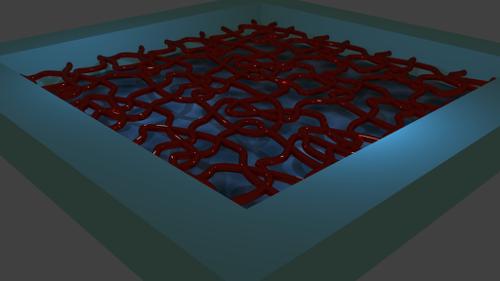 Tube Plate