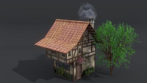 Medieval House (inspired from SnK franchise)