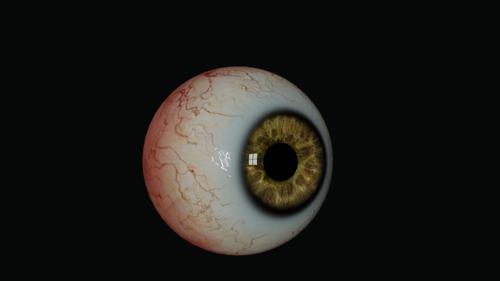 3D EYE