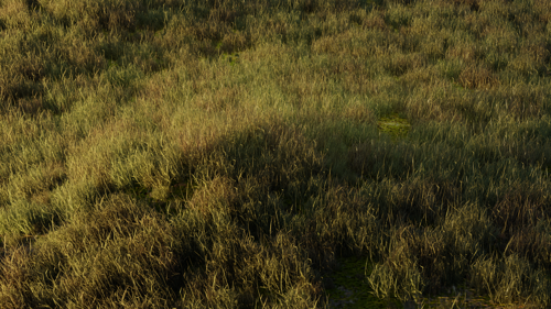 Simple Realistic Grass
