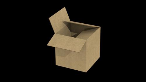 Cardboard Box 1.1