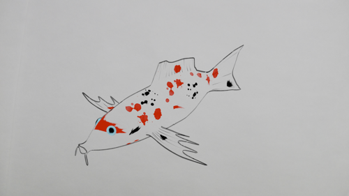 Koi