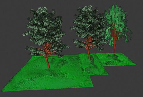 Tree with grass