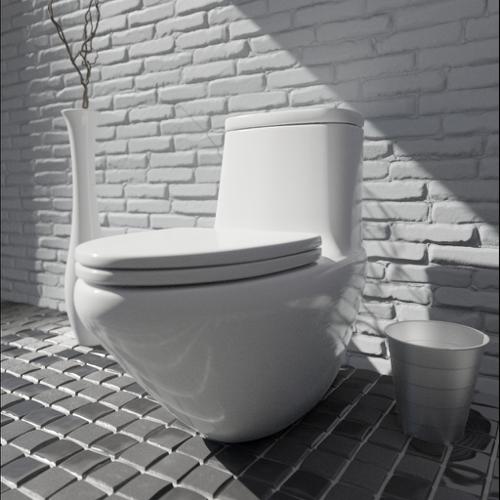 modern toilet