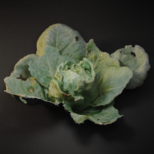 Cabbage Scan