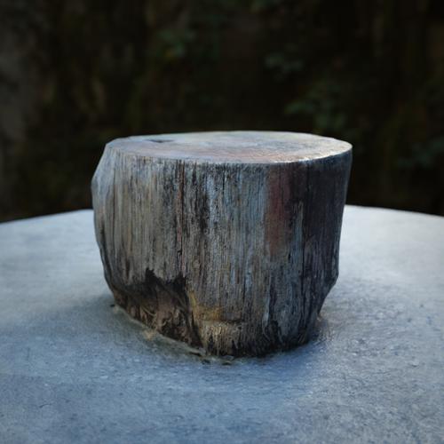 Stump Scan 01