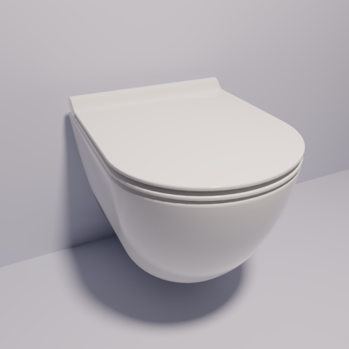 Toilet Bowl