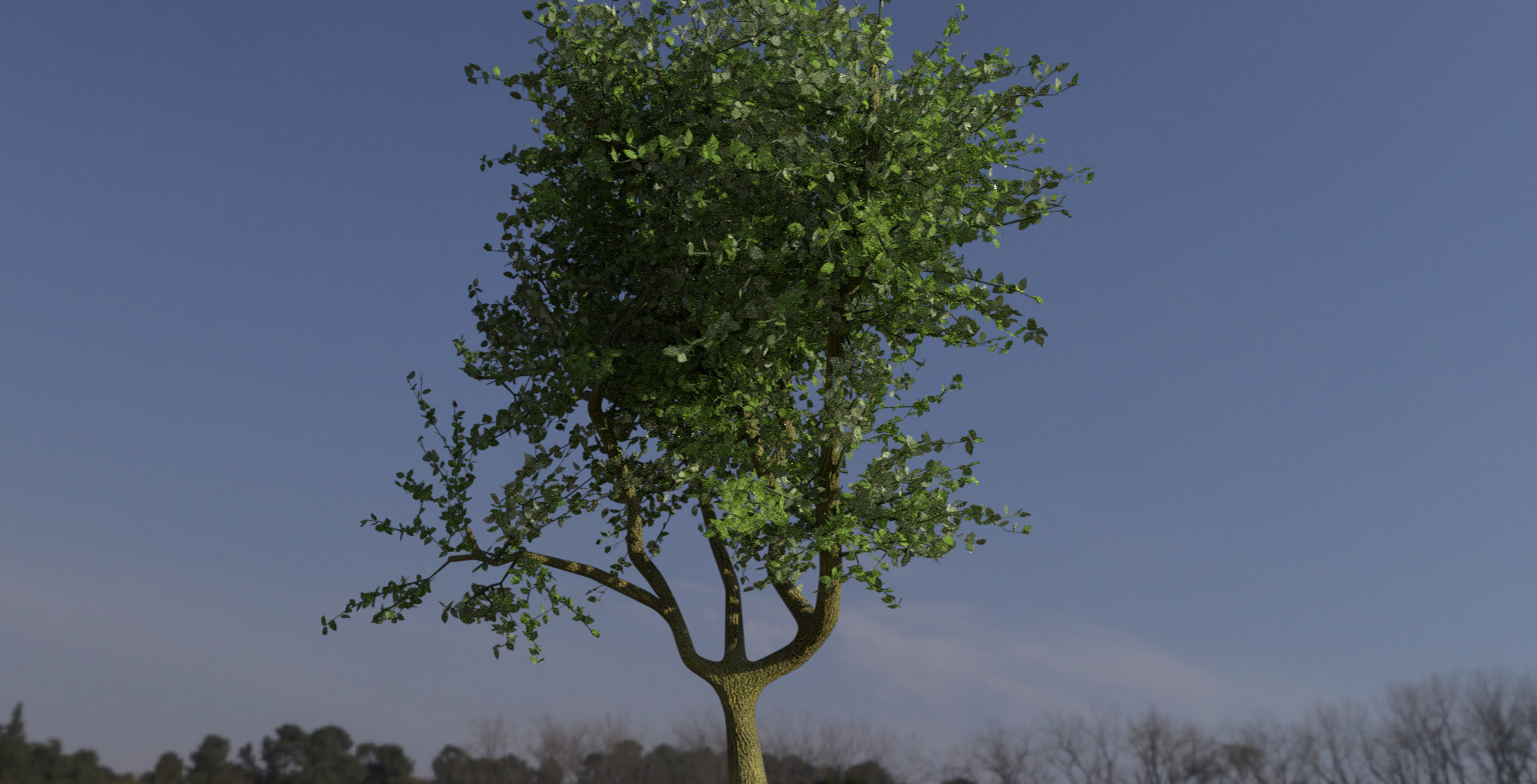 photo realistic tree