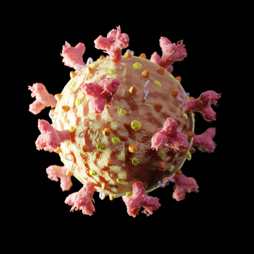 Coronavirus SARS-Co-V2