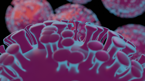 Corona Virus