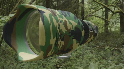 Canon camo camera lens