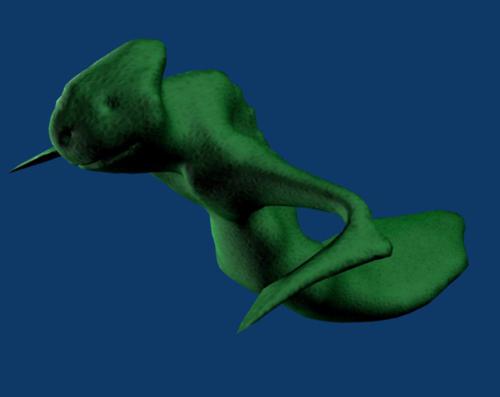 Hydra