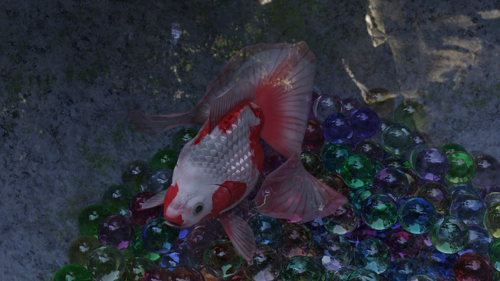 Tosakin goldfish