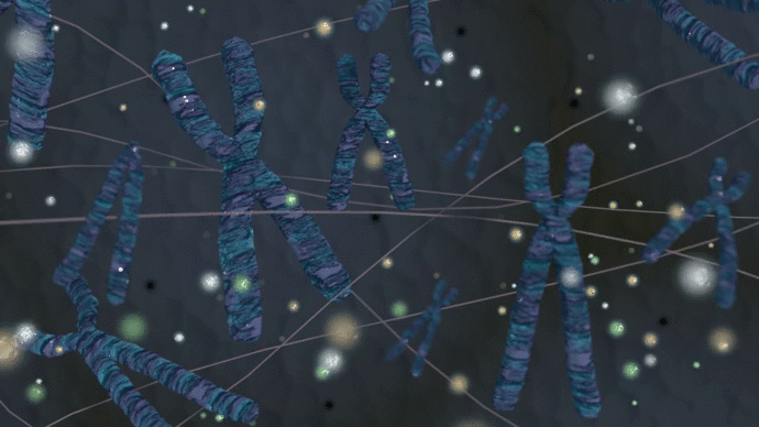Chromosomes Scene