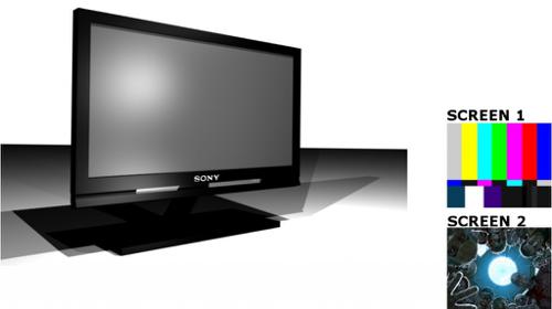 Sony Flat Screen TV