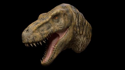 T Rex