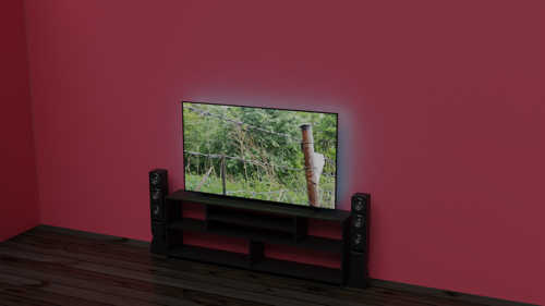 Television