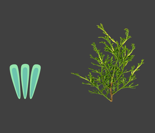 GRASS MOVEMENT - GAMES