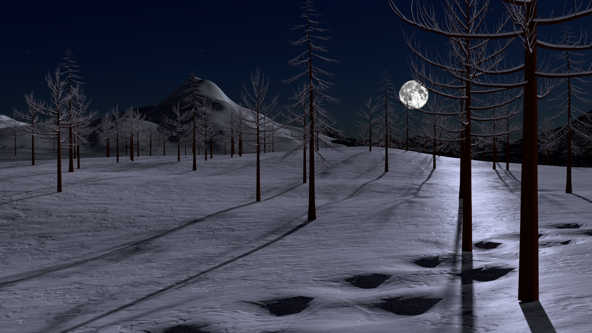 Snowy Night Scene