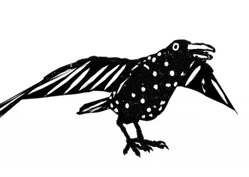 crow cordel
