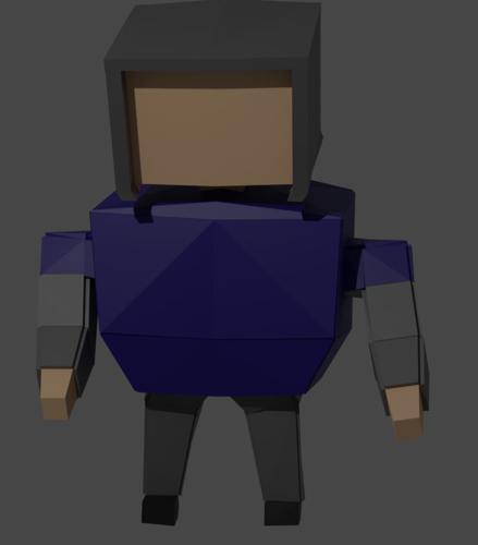 Low-Poly Rig