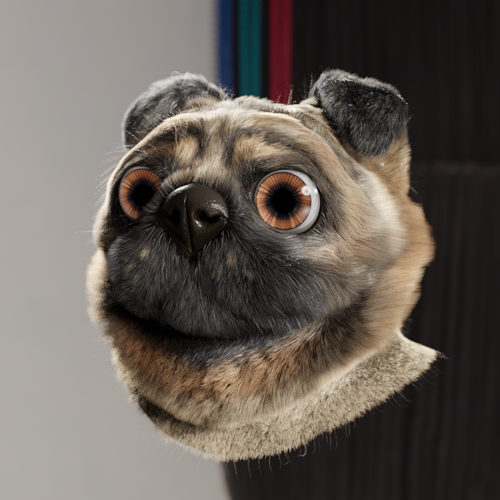 Pug head (with fur)