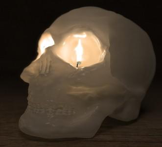 Skull