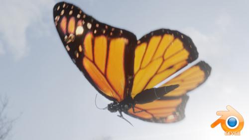 Butterfly - Rigged Low Poly Model