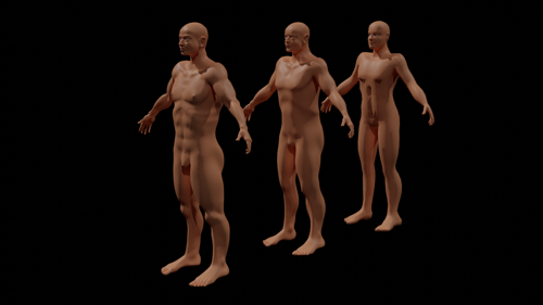 Male Base Mesh
