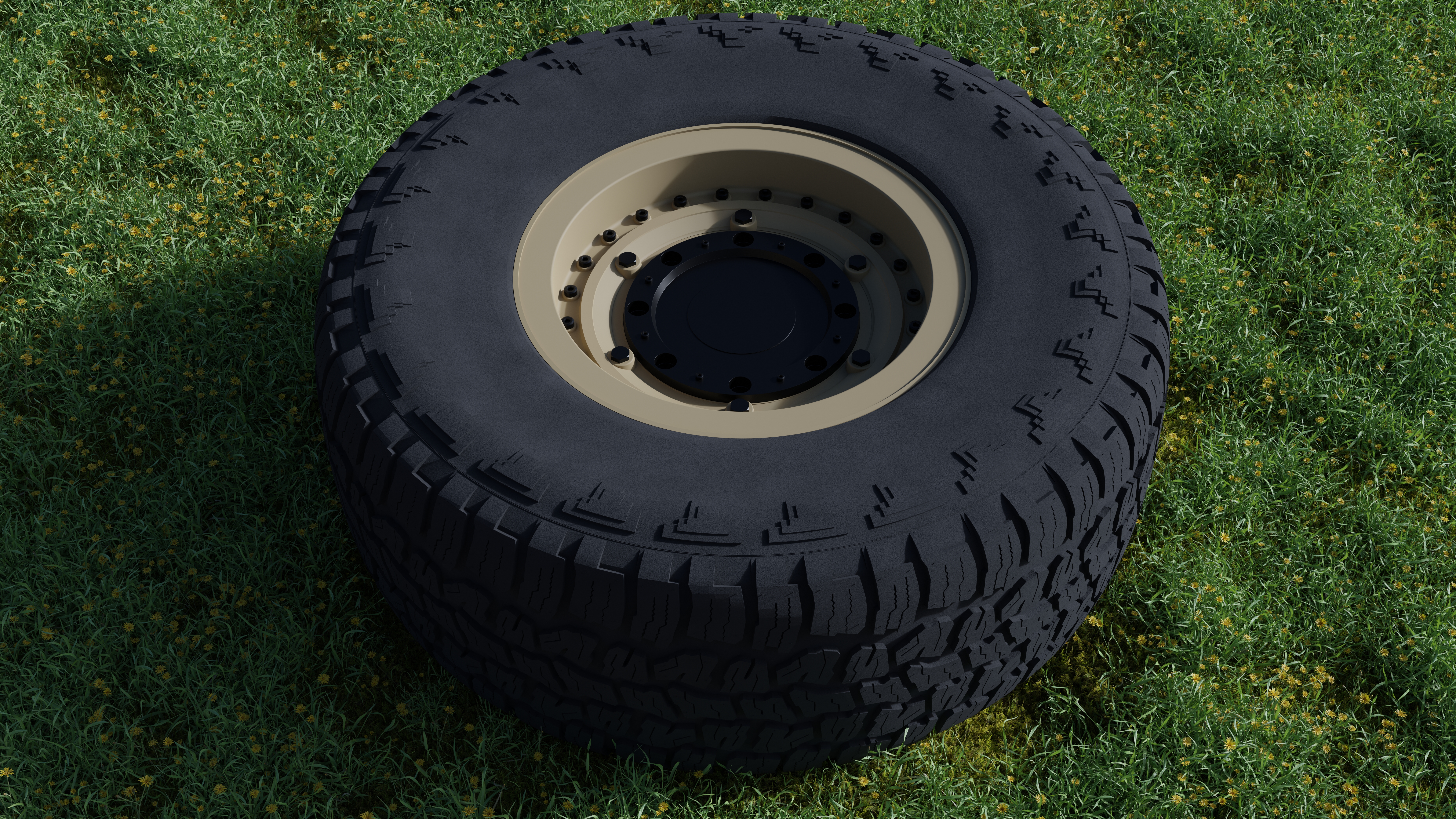 Rim and Tire
