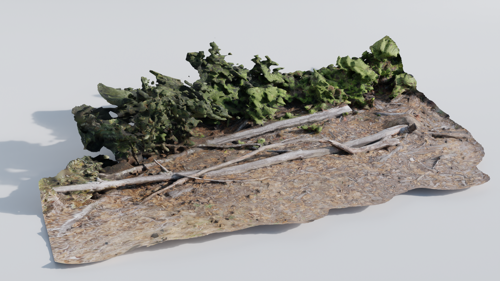 Branch Rubble