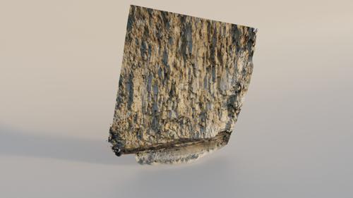 Beach Cliff Face