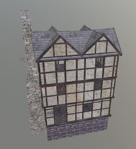 Medieval Medium House Interior