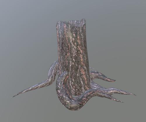 Tree Stump