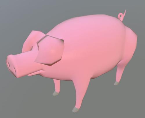 Pig