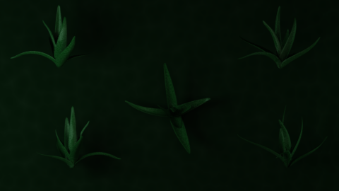 Plant