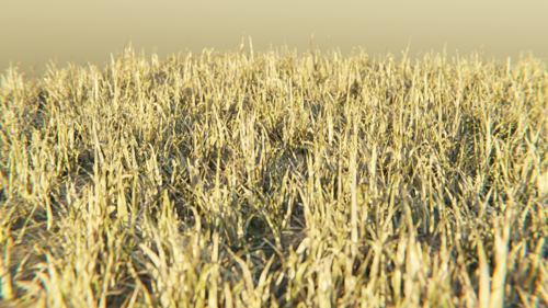 Simple Grass