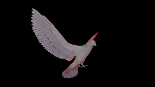 White Pigeon