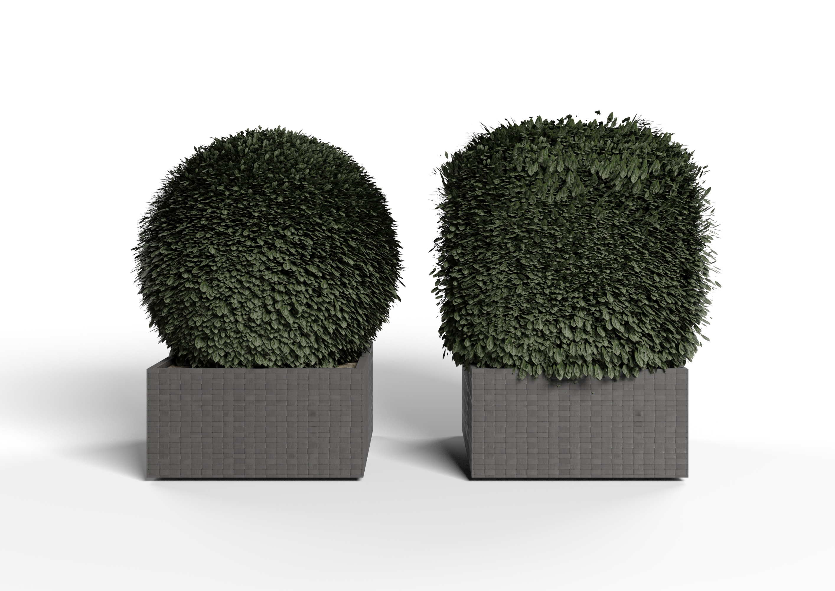 Realistic Bush